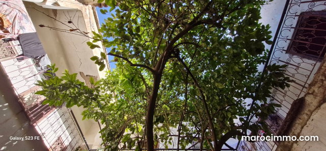 Traditional Riad of 126 m² — 5