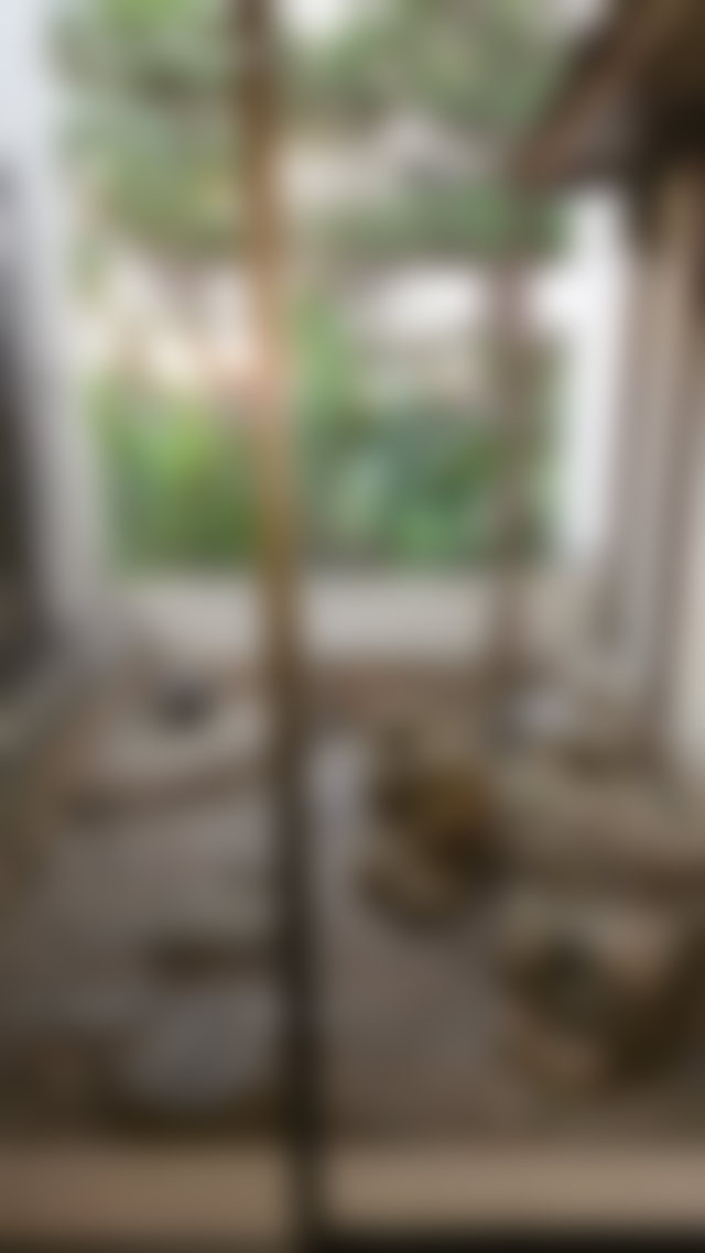 Villa 820 m² avec piscine et jardin 2011 m², Souissi, Rabat — 4
