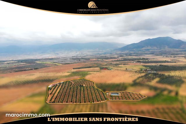 Ferme à vendre sur la route d’Amizmiz Km 48, Marrakech — 39363 m² — Marrakech
