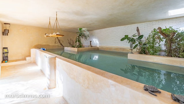 Propriété sur 5000m² avec SPA — 4