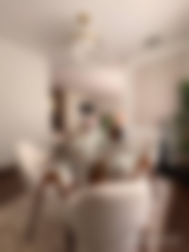 Furnished apartment with terrace for rent in Gauthier, Casablanca — 3