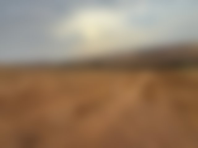 أرض فلاحية واسعة للبيع بتيفلت — 4