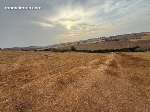 Land 2.6 H FOR SALE in Tiflet — 4
