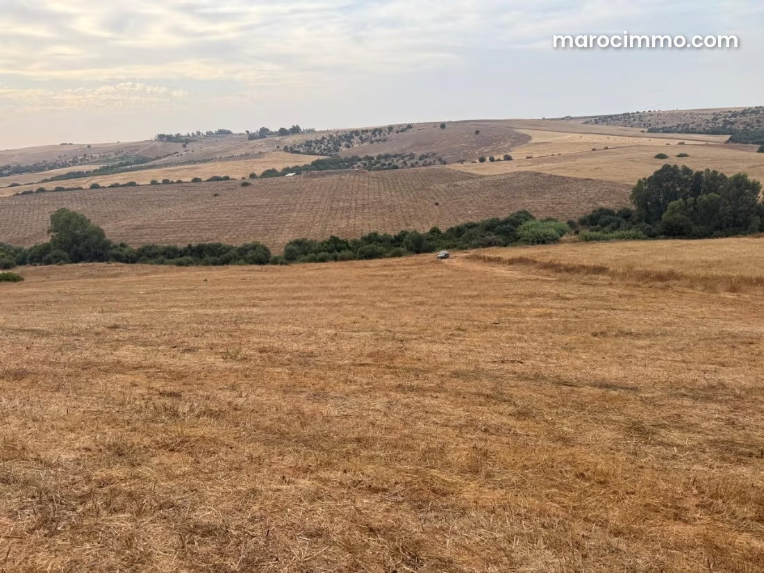 26,000 m² Agricultural Land in Tifelt, Dwar Cherihat — Tifelt