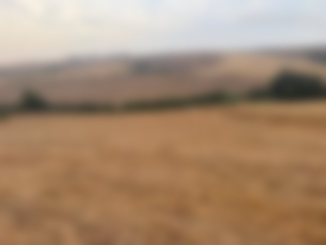 أرض فلاحية واسعة للبيع بتيفلت
