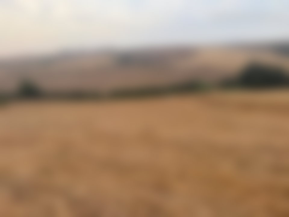 أرض فلاحية واسعة للبيع بتيفلت