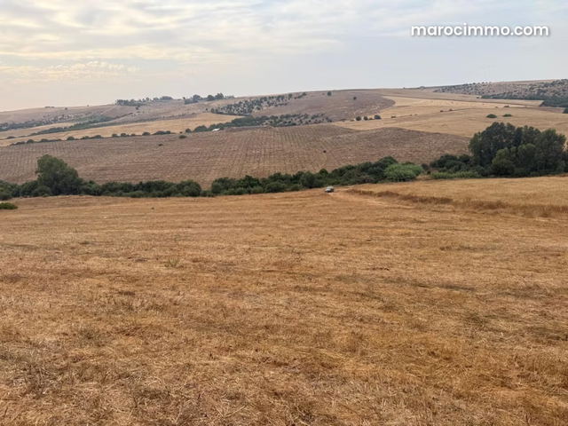Terain 2.6 H À VENDRE à Tiflet — Tifelt