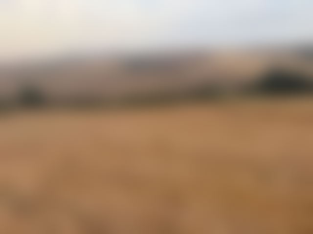 26,000 m² Agricultural Land in Tifelt, Dwar Cherihat — Tifelt