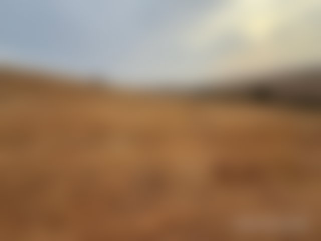 أرض فلاحية واسعة للبيع بتيفلت — 3