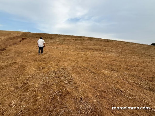 Land 2.6 H FOR SALE in Tiflet — 2