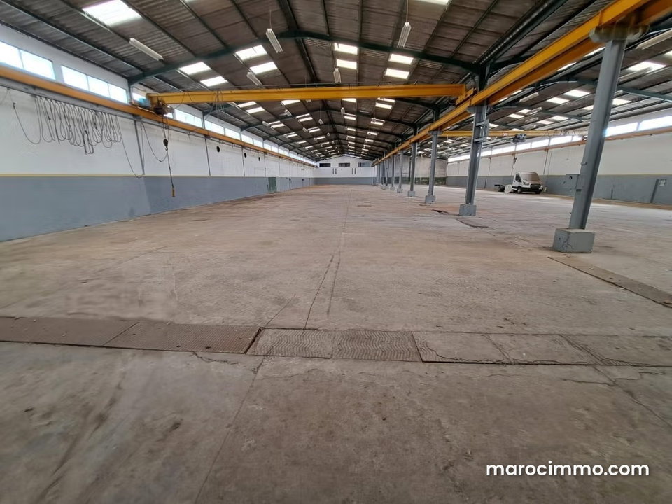 Local Commercial for Rent 2000m²