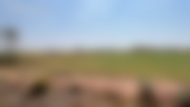 قطعة أرض مطلة على جبال الأطلس بطريق تحناوت في مراكش — 3