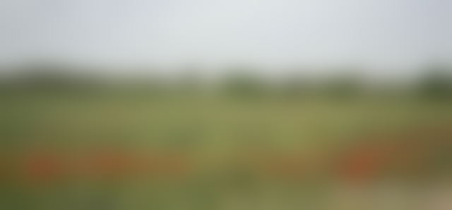 11-Hectare Plot of Land in Ait Ourir, Marrakech Road — Ait Ourir