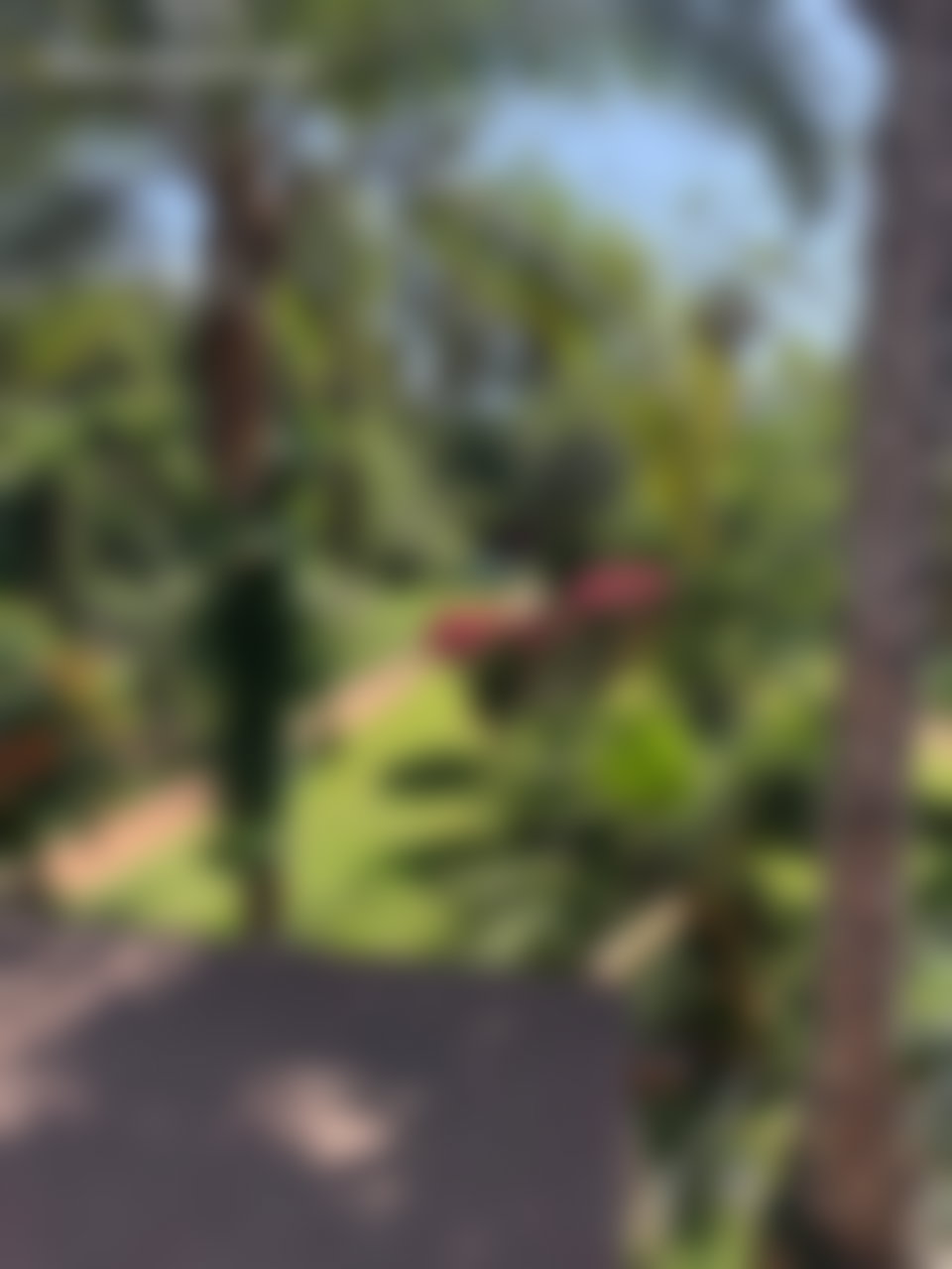 Villa 1580 m² avec jardin paysager, Anfa, Casablanca