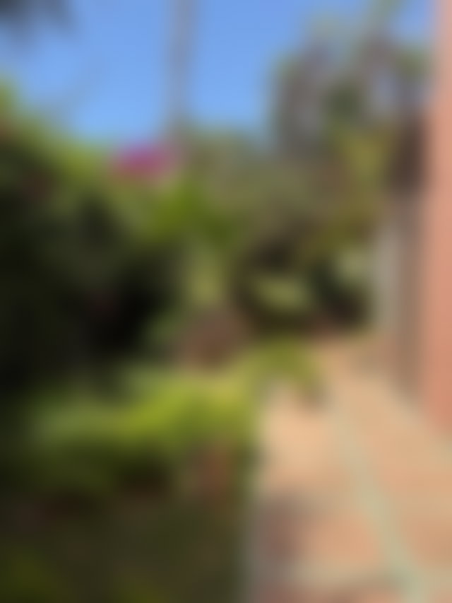 Villa 1580 m² avec jardin paysager, Anfa, Casablanca — 2