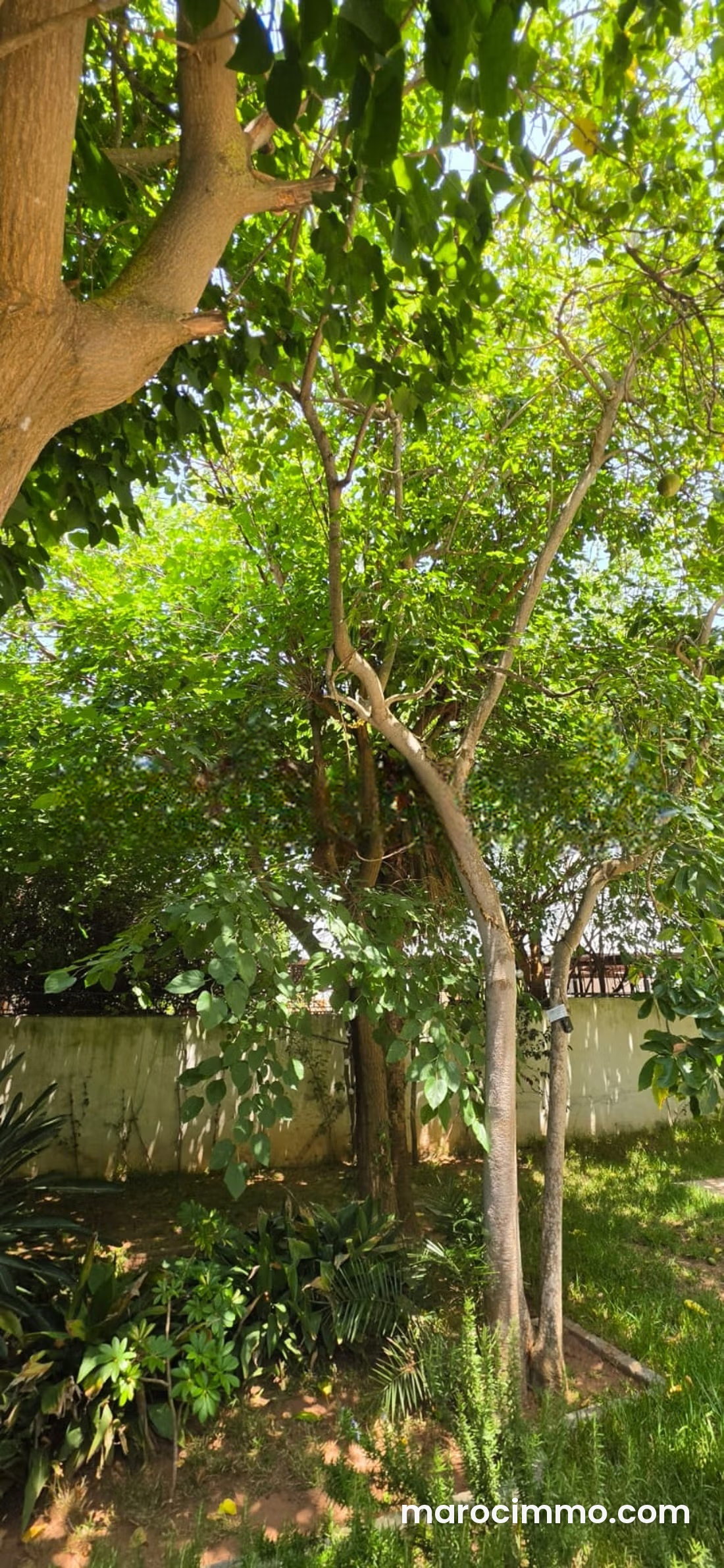 Villa 4 chambres avec jardin à louer, quartier Hassan, Rabat — Rabat