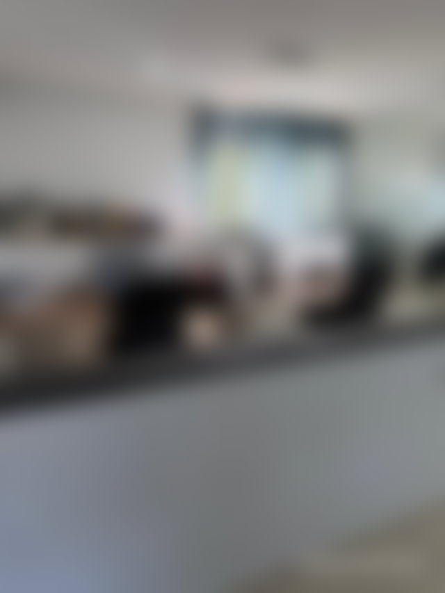 Local commercial 660 m², villa de standing, CIL Casablanca — 4