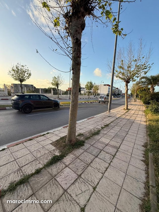 Terrain à acheter à Asilah. Surface de 162 m² — 2