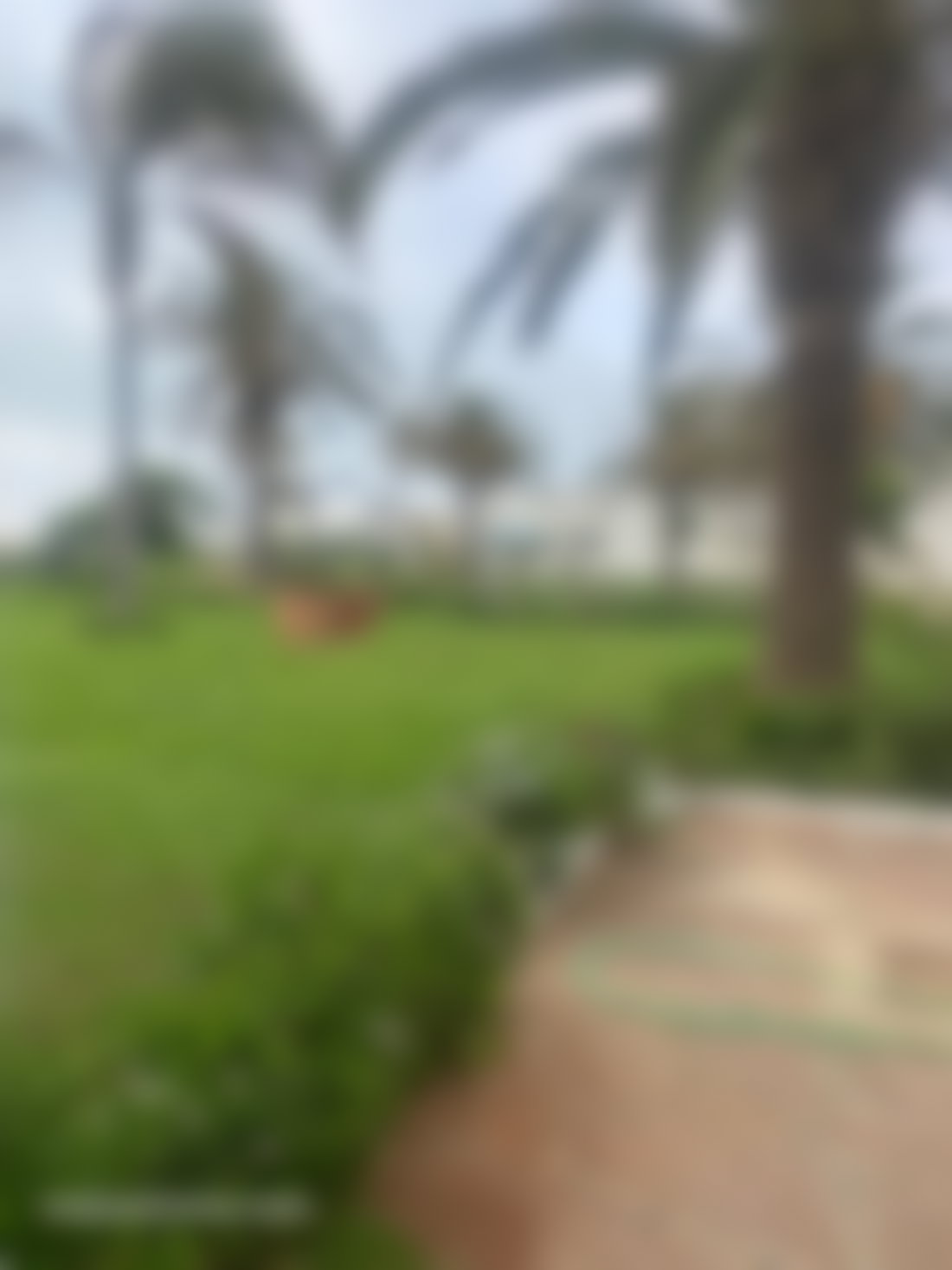 Appartement meublé vue mer, Harhoura, Temara