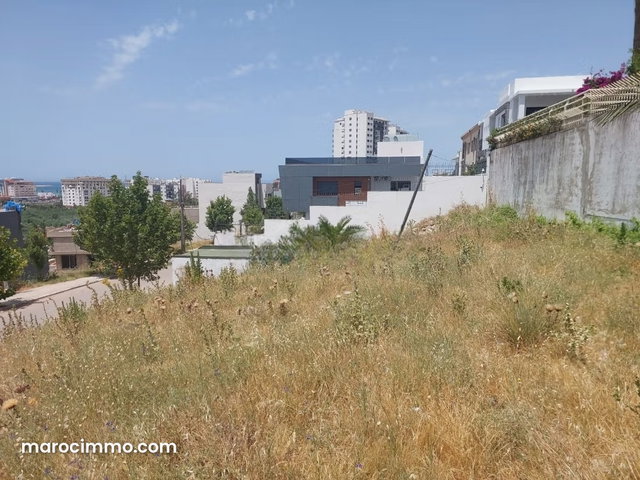 Terrain de Prestige à Malabata 480 m2 Idéal pour Villa — 2