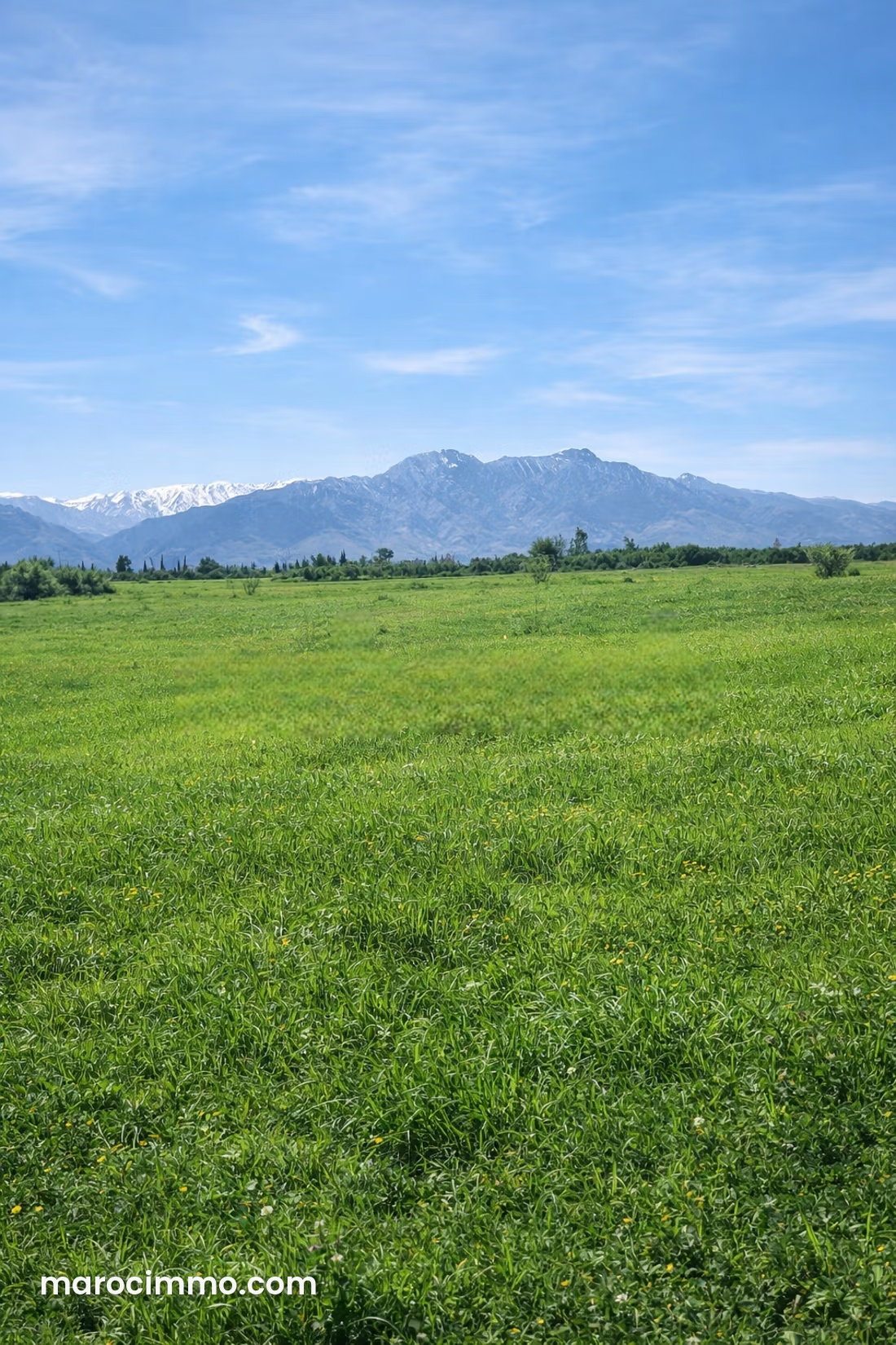 1-Hectare Titled Plot on the Amezmiz Road, Marrakech — Marrakesh