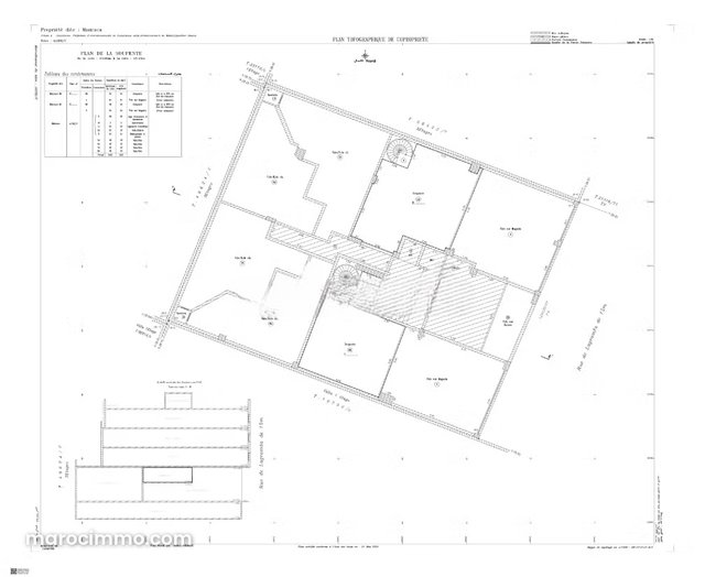 Premium Commercial Space for Sale – Oasis — 3