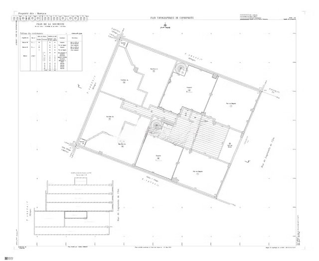 Super Commercial Opportunity for Rent in Oasis Casablanca — 3