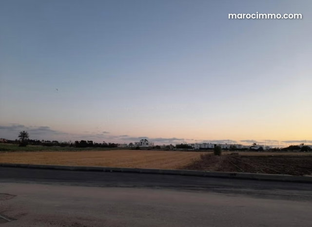 2-Bedroom Apartment for Sale in Tamaris — 5