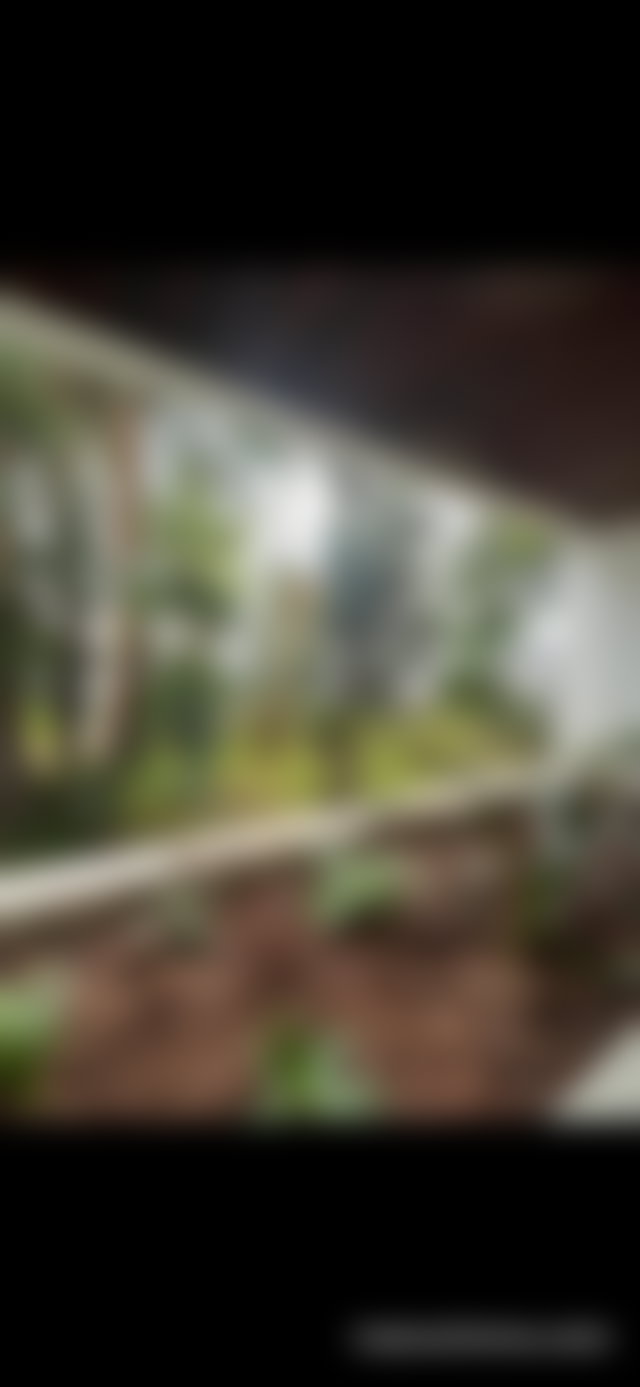 Appartement rez, de, jardin 124 m² à louer à Bourgogne Casablanca — 2