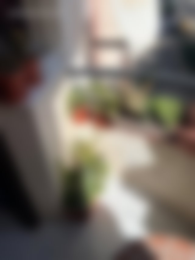 Appartement meublé 3 chambres, Centre Tanger, 8 500 MAD — 3