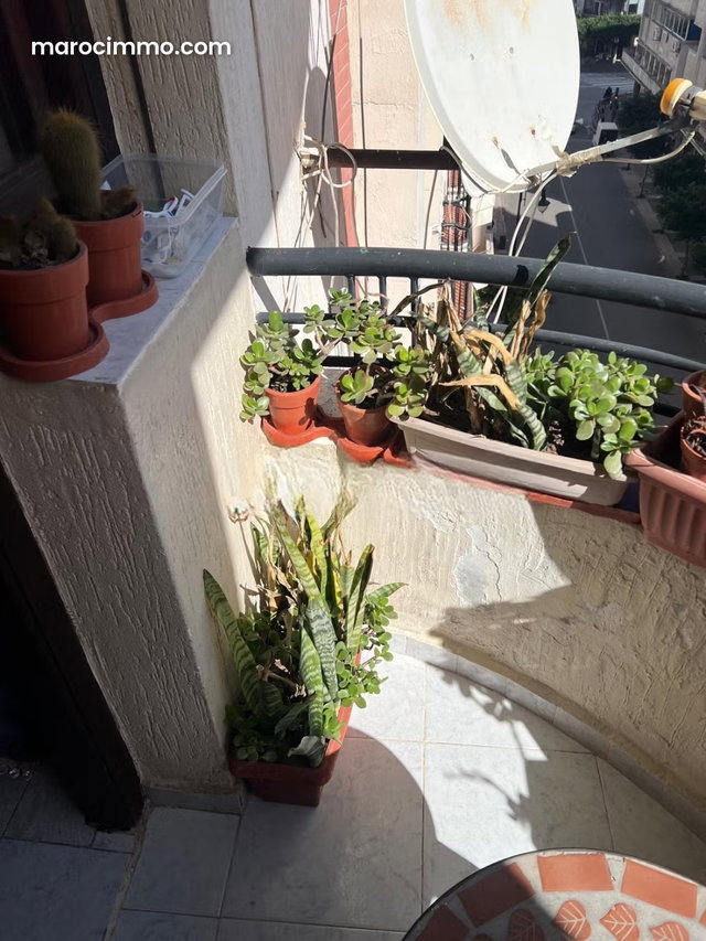 Appartement Meublé A Louer Centre Ville Tanger — 3