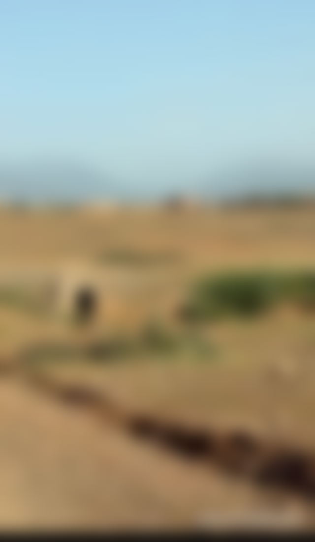 17,000 m² Plot on the Ourika Road, Marrakech, for Sale — Marrakesh