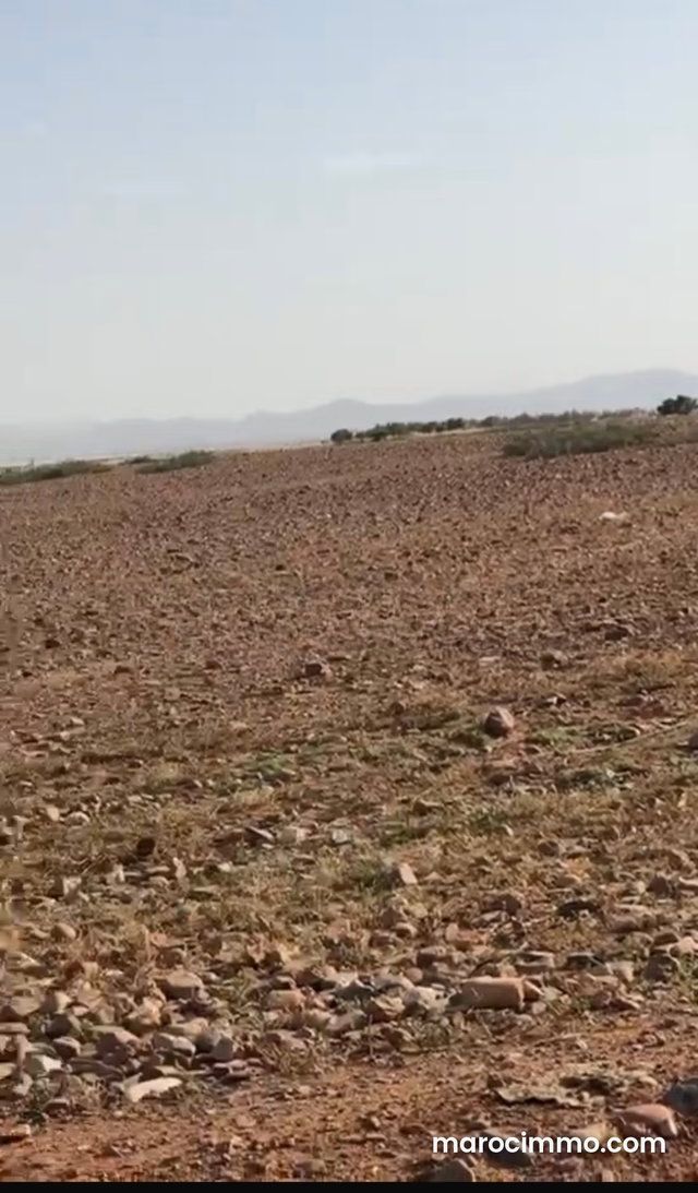 Vente de terrain à Route de l'Ourika. Surface totale 17000 m² — 2