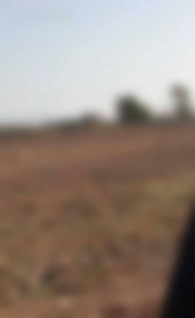 أرض شاسعة للاستثمار بطريق أوريكا في مراكش — 3