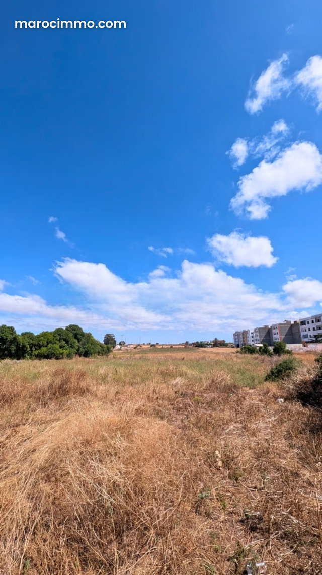 Terrain de 11260 m² à Dar Bouazza — 2