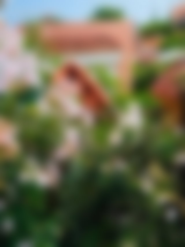 فرصة لتصميم فيلا أحلامك بعين الذئاب في الدار البيضاء — 2