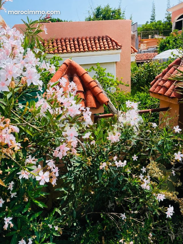 Pépite. Villa plain pied 398 m2 à vendre à Ain Diab. 3 pièces — 2