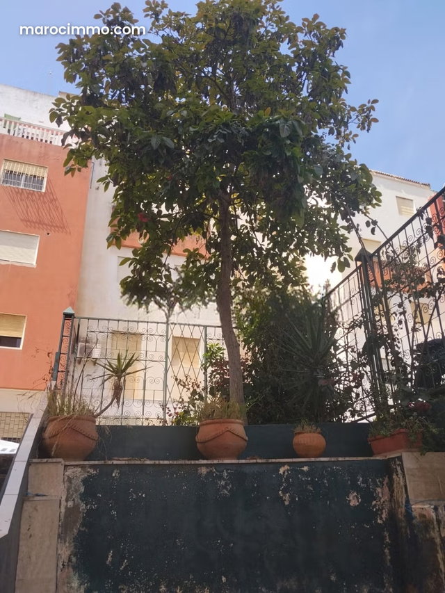 Grand appartement lumineux — 2
