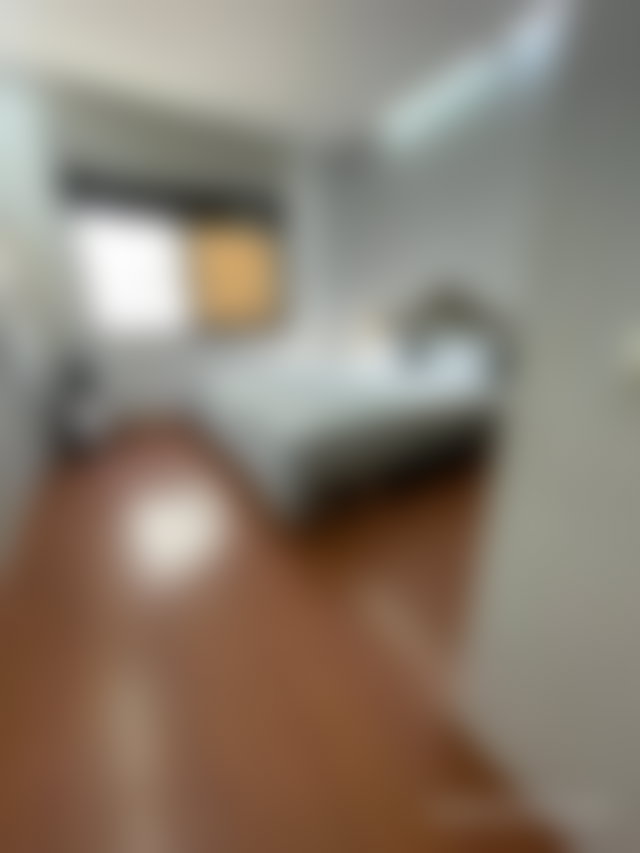 Appartement 242 m², meublé, 3 chambres, Quartier des Hôpitaux — 4