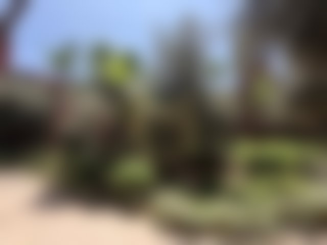 Appartement 3 chambres avec piscine, Route de Casablanca, Marrakech — 3