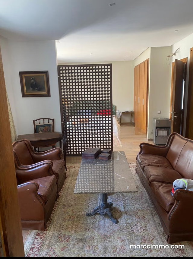 Luxury Villa in El Menzeh with Pool — 3
