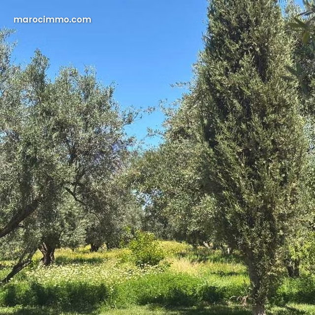 Terrain à Vendre de 24703.0 m² à Marrakech, Route De Fes — 4