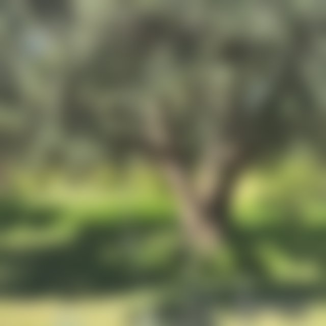 أرض شاسعة للبيع بطريق فاس في مراكش — 5