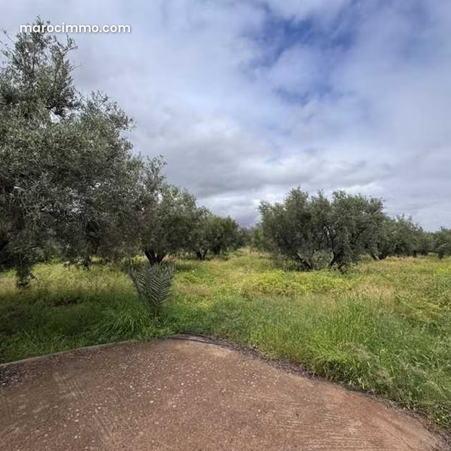 Terrain à Vendre de 10850.0 m² à Marrakech, Route De Fes — 3