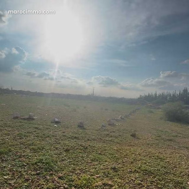 Terrain à Vendre de 1682.0 m² à Marrakech, Palmeraie Extension — 4