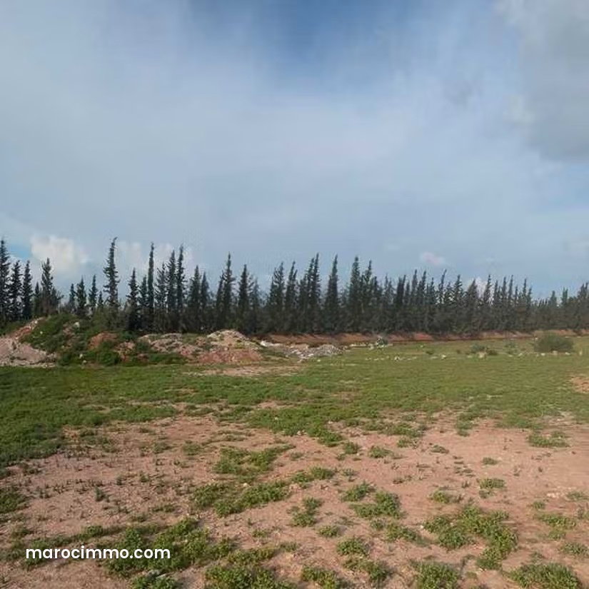 Terrain à Vendre de 1682.0 m² à Marrakech, Palmeraie Extension
