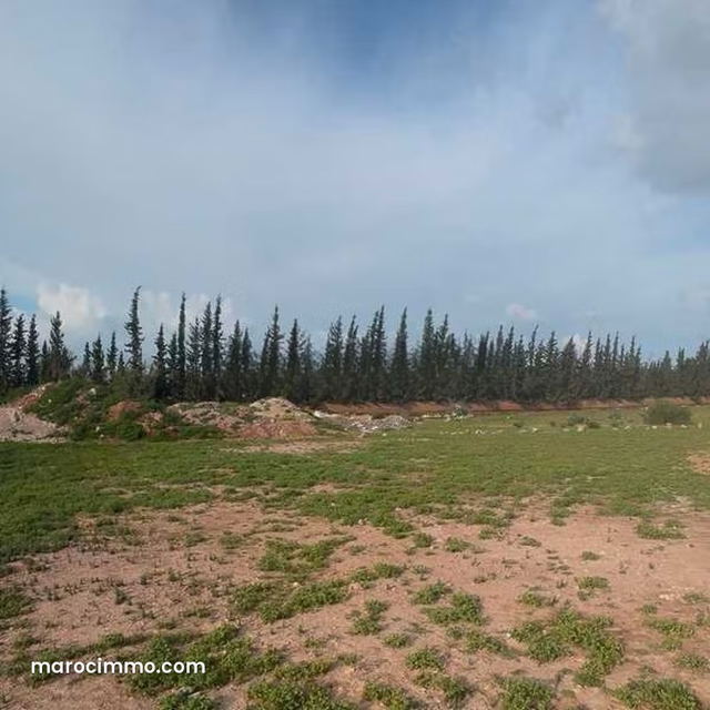 Terrain à Vendre de 1682.0 m² à Marrakech, Palmeraie Extension — Marrakech