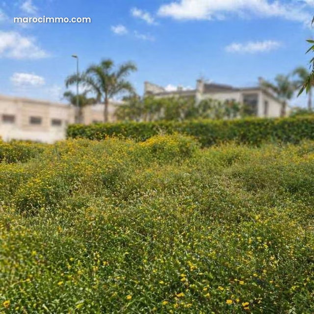 Terrain à Vendre de 374.0 m² à Casablanca, Sidi Maarouf — 3