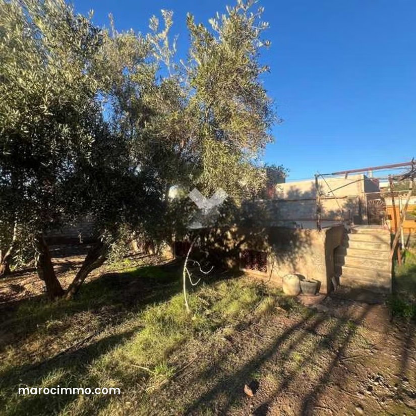 Terrain 1000 m² Route d'Amezmiz Marrakech à vendre — Marrakesh