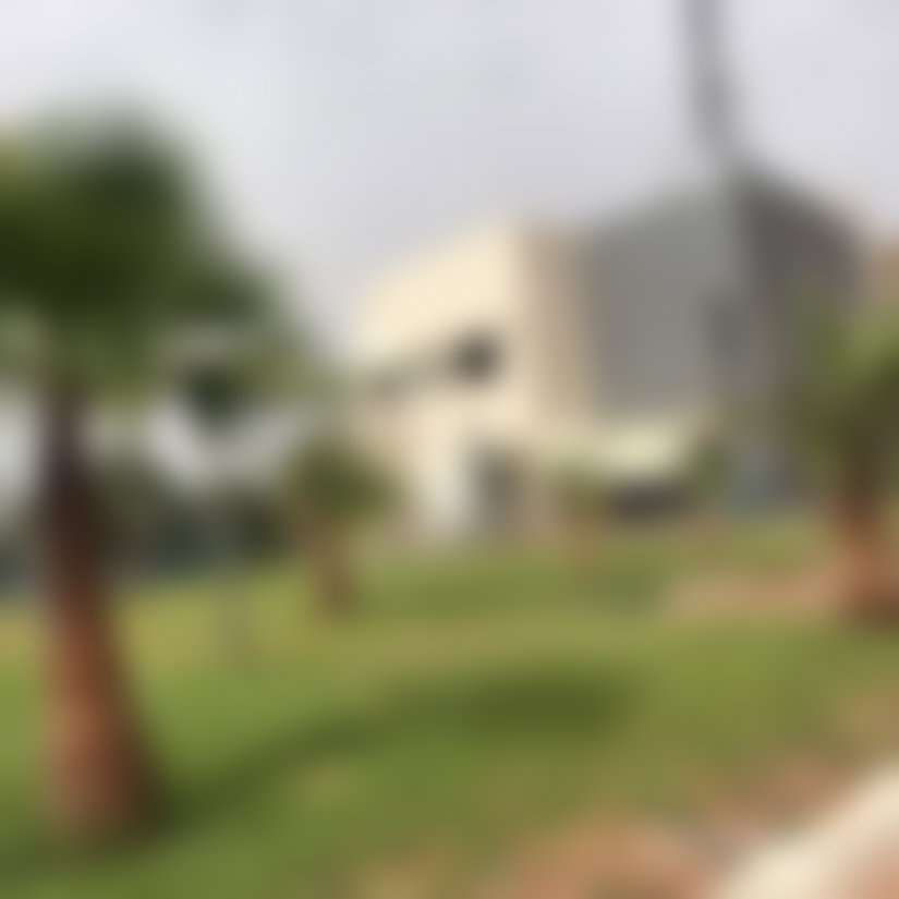 أرض واسعة للاستثمار في قلب بوسكورة
